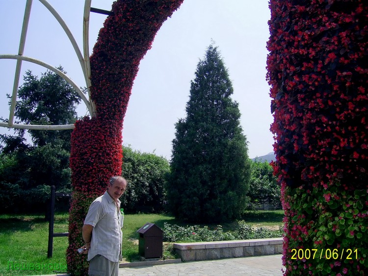 2007 год Китай Пекин Botanical Garden Ботанический сад - 18  2007.06.21 Ботанический сад 330.JPG