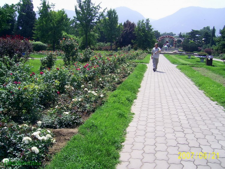 2007 год Китай Пекин Botanical Garden Ботанический сад - 18  2007.06.21 Ботанический сад 335.JPG