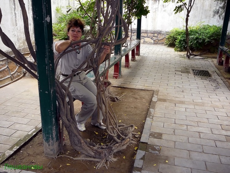 2007 год Китай Пекин Ихэюань Летний императорский дворец - 10  2007.06.18 Летний дворец 046