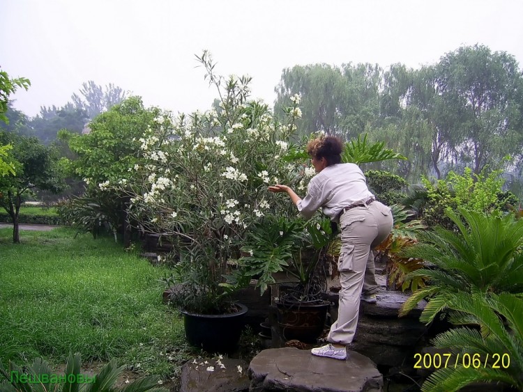 2007 год Китай Пекин World Park Beijing Парк Мира - 17  2007.06.20 Парк мира 134.JPG