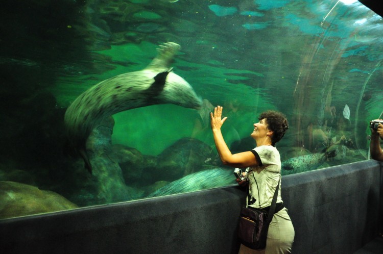 2010 год 04.08 Китай Шанхай Shanghai Ocean Aquarium - 11 2010 08.04 Китай Шанхай Shanghai Ocean Aquarium 073.JPG