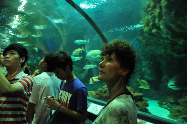 2010 год 04.08 Китай Шанхай Shanghai Ocean Aquarium - 11 2010 08.04 Китай Шанхай Shanghai Ocean Aquarium 096.JPG