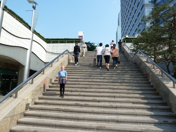 2011 год № 04 Южная Корея Сеул Coex Aquarium Аквариум - 05 11.05.29 Coex Aquarium Аквариум 018.JPG