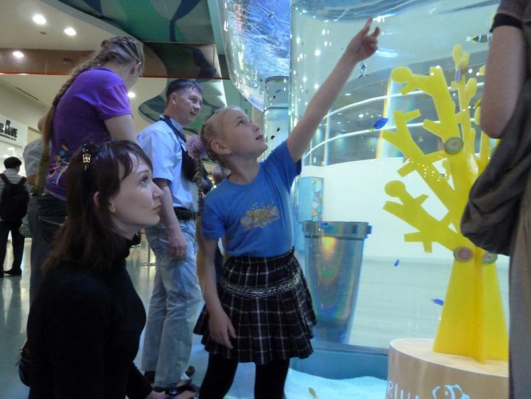 2011 год № 04 Южная Корея Сеул Coex Aquarium Аквариум - 05 11.05.29 Coex Aquarium Аквариум 021.JPG