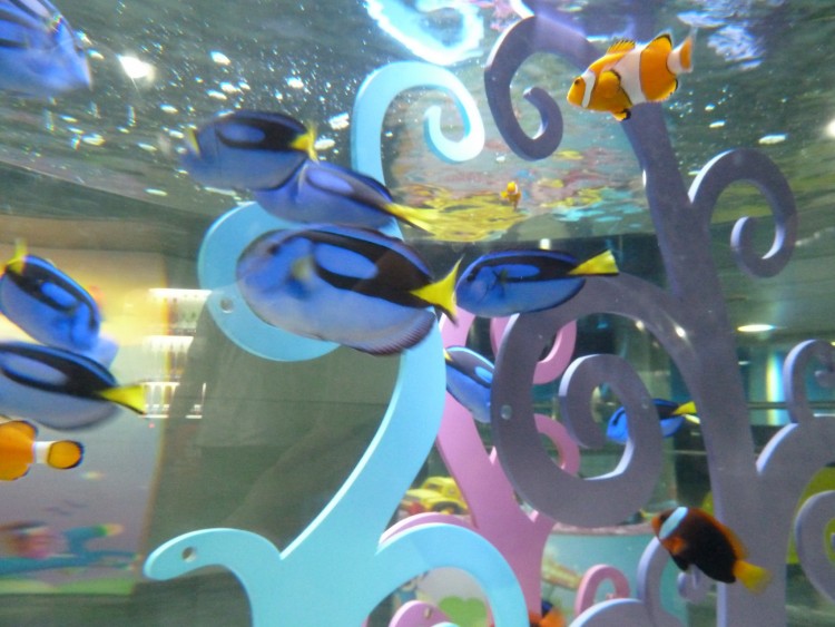 2011 год № 04 Южная Корея Сеул Coex Aquarium Аквариум - 05 11.05.29 Coex Aquarium Аквариум 022.JPG