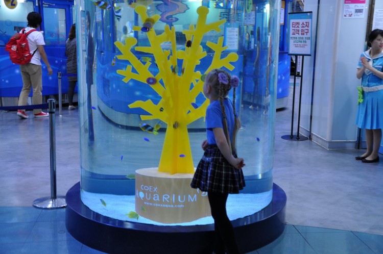 2011 год № 04 Южная Корея Сеул Coex Aquarium Аквариум - 05 11.05.29 Coex Aquarium Аквариум 025.JPG