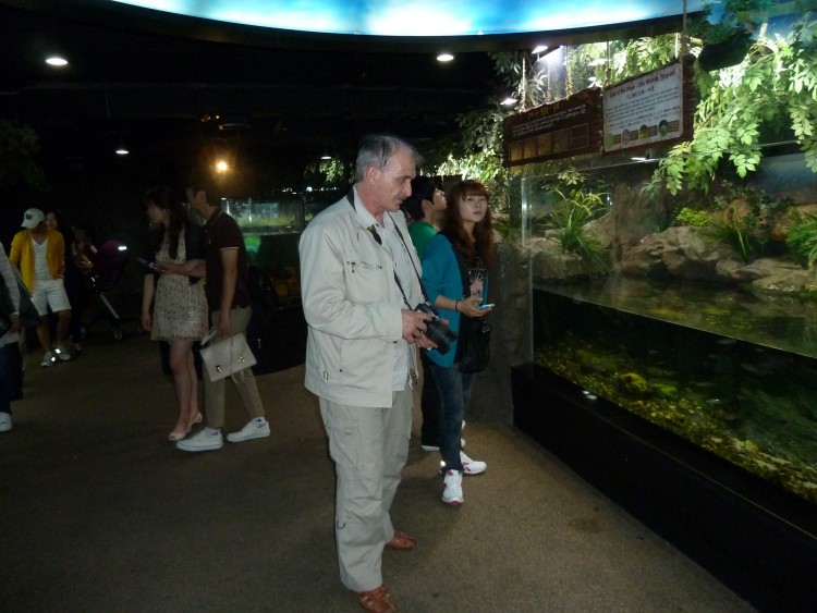 2011 год № 04 Южная Корея Сеул Coex Aquarium Аквариум - 05 11.05.29 Coex Aquarium Аквариум 026.JPG