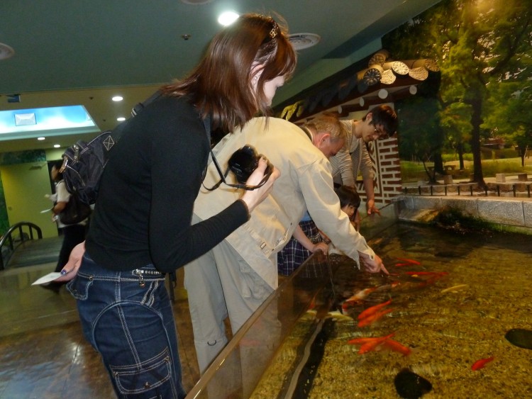 2011 год № 04 Южная Корея Сеул Coex Aquarium Аквариум - 05 11.05.29 Coex Aquarium Аквариум 041.JPG