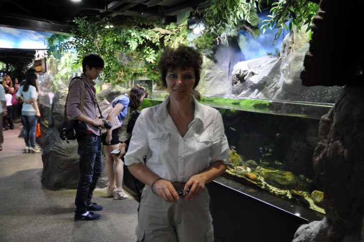 2011 год № 04 Южная Корея Сеул Coex Aquarium Аквариум - 05 11.05.29 Coex Aquarium Аквариум 043.JPG