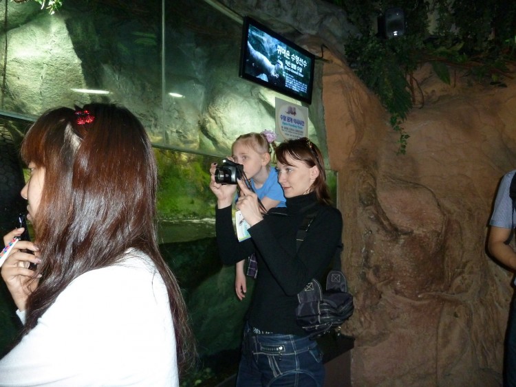 2011 год № 04 Южная Корея Сеул Coex Aquarium Аквариум - 05 11.05.29 Coex Aquarium Аквариум 079.JPG