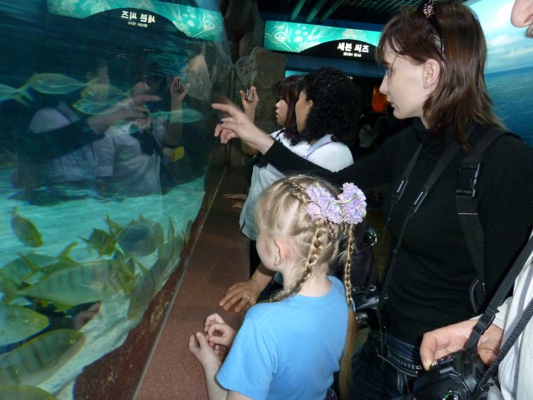 2011 год № 04 Южная Корея Сеул Coex Aquarium Аквариум - 05 11.05.29 Coex Aquarium Аквариум 115.JPG