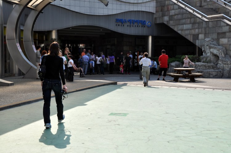 2011 год № 04 Южная Корея Сеул Coex Aquarium Аквариум - 05 11.05.29 Coex Aquarium Аквариум 193.JPG