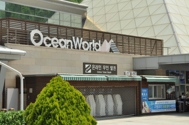 2011 год № 07 Южная Корея Сеул Ocean World сам Аквапарк - 13 11.05.30 Ocean World Аквапарк 036.JPG