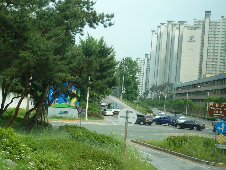 2011 год № 08 Южная Корея Сеул Seoul Zoo Дорога туда сюда - 25 11.05.31 Seoul Zoo Дорога в Сеул 104.JPG