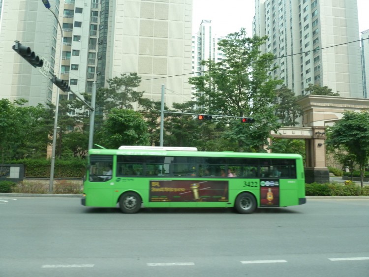 2011 год № 08 Южная Корея Сеул Seoul Zoo Дорога туда сюда - 25 11.05.31 Seoul Zoo Дорога в Сеул 151.JPG