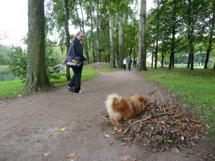 2011 год № 09 Санкт-Петербург Храмы Соборы Парки Метро Отель - 22 2011.09.11 Мы гуляем по Парку Победы Питера 173.JPG