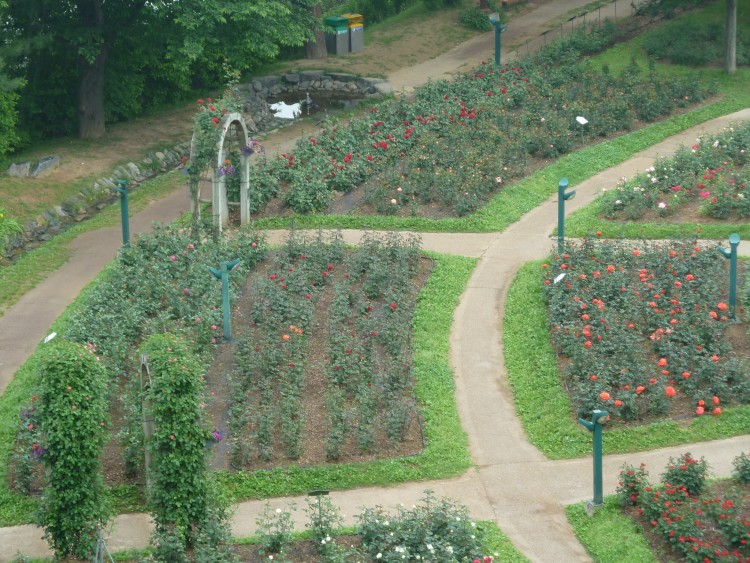 2011 год № 09 Южная Корея Сеул Seoul Zoo Канатная дорога - 19 11.05.31 Seoul Zoo Канатная дорога 046.JPG