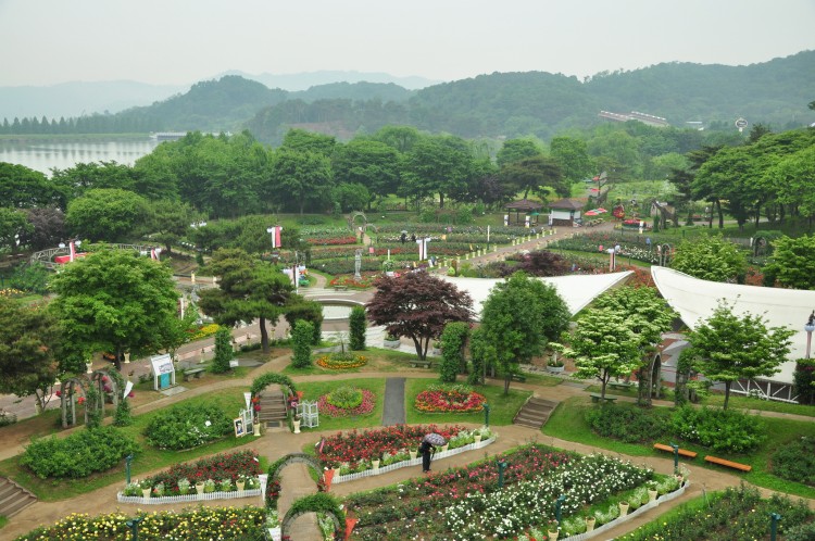 2011 год № 09 Южная Корея Сеул Seoul Zoo Канатная дорога - 19 11.05.31 Seoul Zoo Канатная дорога 078.JPG