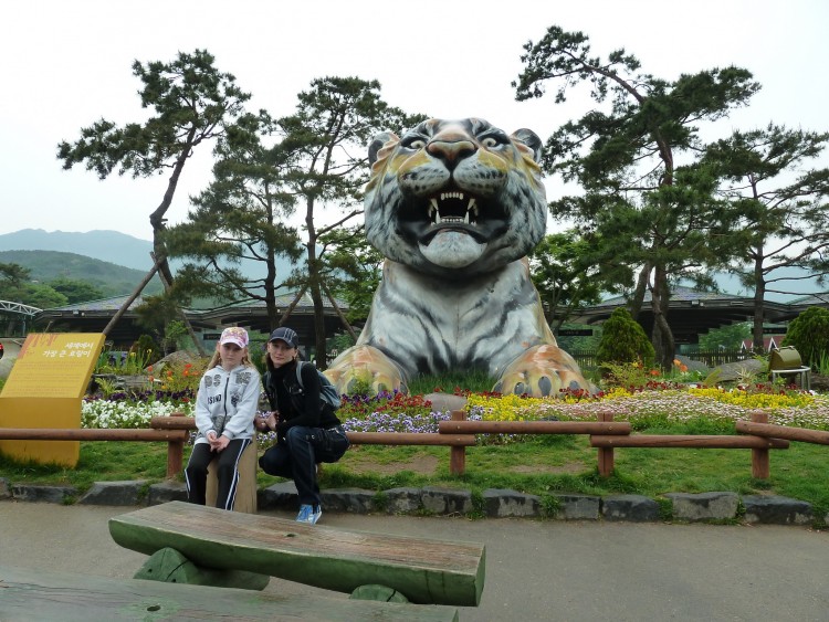 2011 год № 09 Южная Корея Сеул Seoul Zoo Канатная дорога - 19 11.05.31 Seoul Zoo Канатная дорога 104.JPG