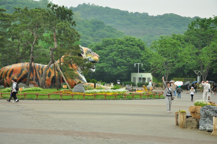 2011 год № 09 Южная Корея Сеул Seoul Zoo Канатная дорога - 19 11.05.31 Seoul Zoo Канатная дорога 110.JPG