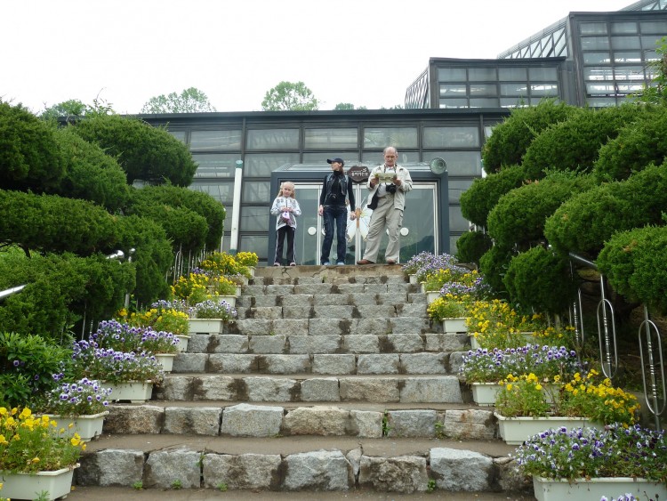 2011 год № 10 Южная Корея Сеул Seoul Zoo Ботанический сад - 21 11.05.31 Seoul Zoo Ботанический сад 107.JPG