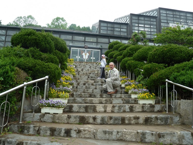 2011 год № 10 Южная Корея Сеул Seoul Zoo Ботанический сад - 21 11.05.31 Seoul Zoo Ботанический сад 109.JPG