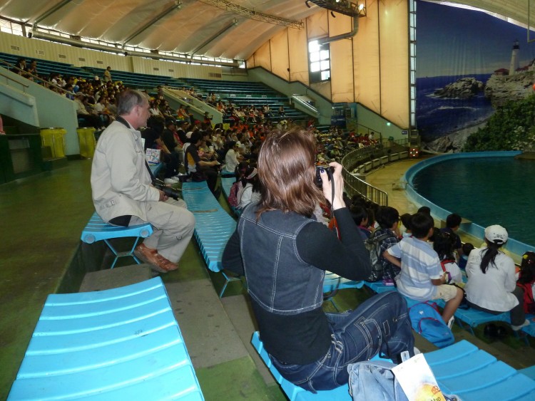 2011 год № 11 Южная Корея Сеул Seoul Zoo Цирк на воде - 23 11.05.31 Seoul Zoo Цирк на воде 001.JPG