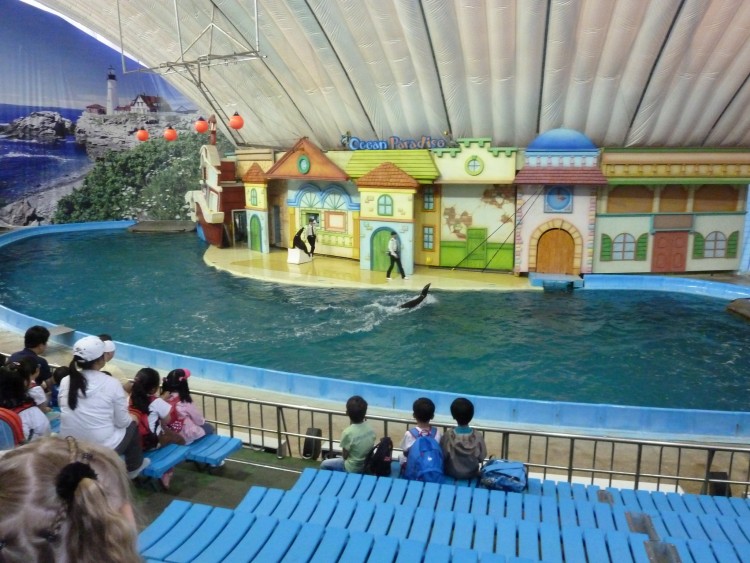 2011 год № 11 Южная Корея Сеул Seoul Zoo Цирк на воде - 23 11.05.31 Seoul Zoo Цирк на воде 007.JPG