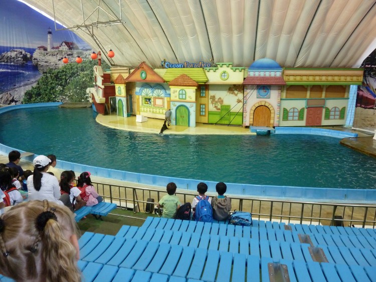 2011 год № 11 Южная Корея Сеул Seoul Zoo Цирк на воде - 23 11.05.31 Seoul Zoo Цирк на воде 024.JPG