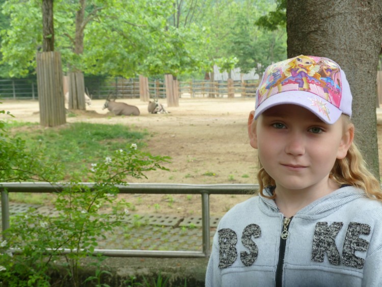 2011 год № 12 Южная Корея Сеул Seoul Zoo Сам ЗООпарк № 01 - 20 11.05.31 Seoul Zoo Зоопарк ЧАСТЬ 1 009.JPG