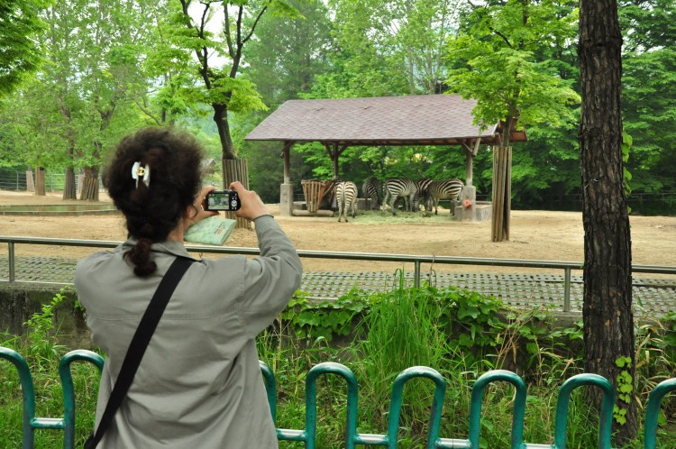 2011 год № 12 Южная Корея Сеул Seoul Zoo Сам ЗООпарк № 01 - 20 11.05.31 Seoul Zoo Зоопарк ЧАСТЬ 1 015.JPG