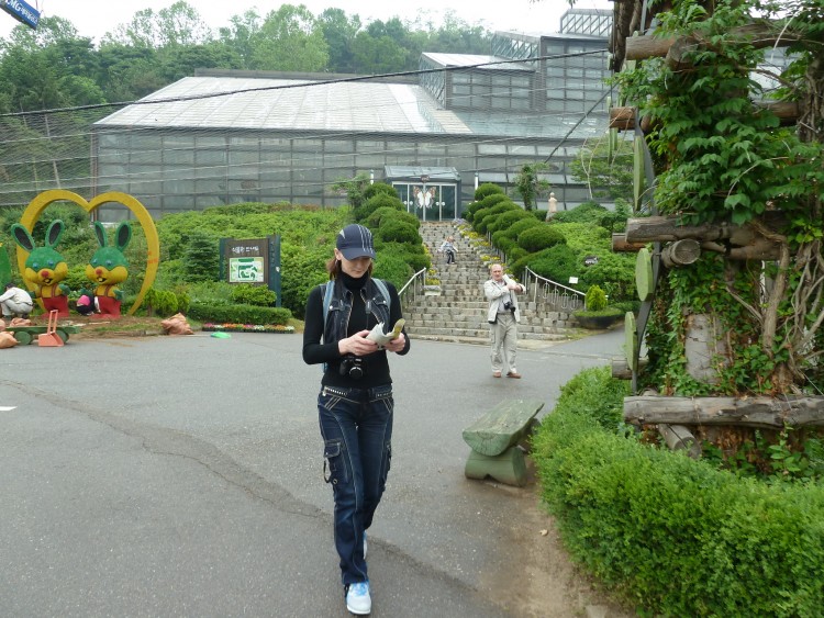 2011 год № 12 Южная Корея Сеул Seoul Zoo Сам ЗООпарк № 01 - 22 11.05.31 Seoul Zoo Зоопарк ЧАСТЬ 2 001.JPG