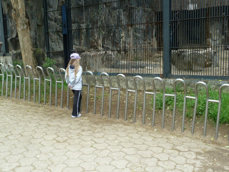 2011 год № 12 Южная Корея Сеул Seoul Zoo Сам ЗООпарк № 01 - 22 11.05.31 Seoul Zoo Зоопарк ЧАСТЬ 2 080.JPG