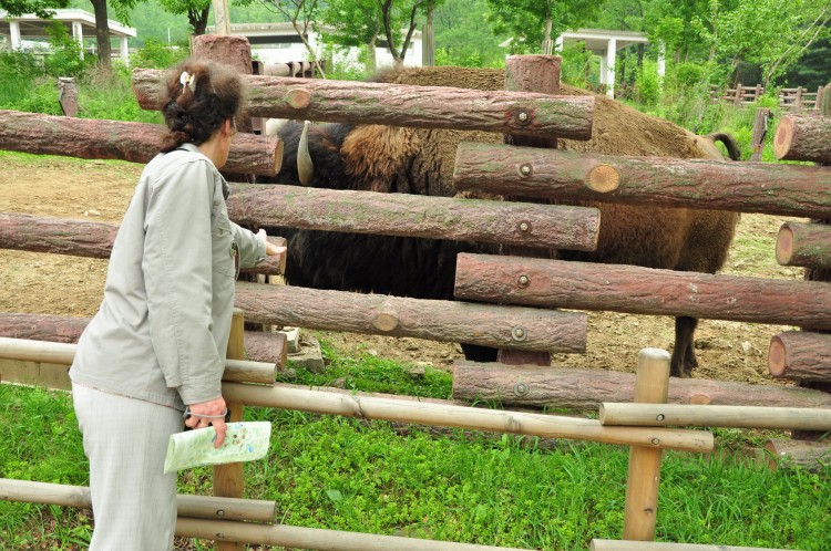 2011 год № 12 Южная Корея Сеул Seoul Zoo Сам ЗООпарк № 01 - 22 11.05.31 Seoul Zoo Зоопарк ЧАСТЬ 2 150.JPG