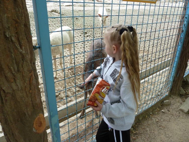 2011 год № 13 Южная Корея Сеул Seoul Zoo Сам ЗООпарк № 02 - 22 11.05.31 Seoul Zoo Зоопарк ЧАСТЬ 2 169.JPG