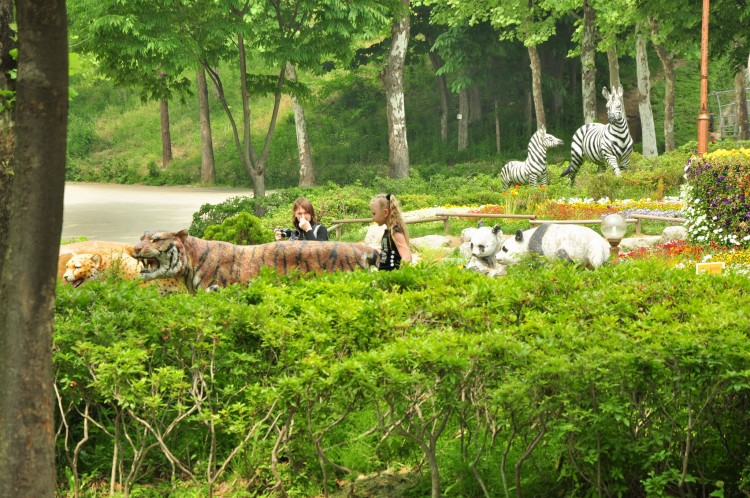 2011 год № 13 Южная Корея Сеул Seoul Zoo Сам ЗООпарк № 02 - 24 11.05.31 Seoul Zoo Зоопарк ЧАСТЬ 3 098.JPG