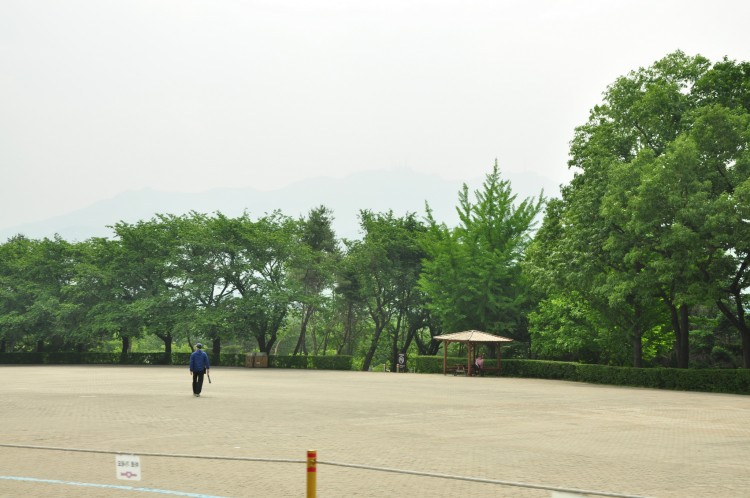 2011 год № 13 Южная Корея Сеул Seoul Zoo Сам ЗООпарк № 02 - 24 11.05.31 Seoul Zoo Зоопарк ЧАСТЬ 3 200.JPG