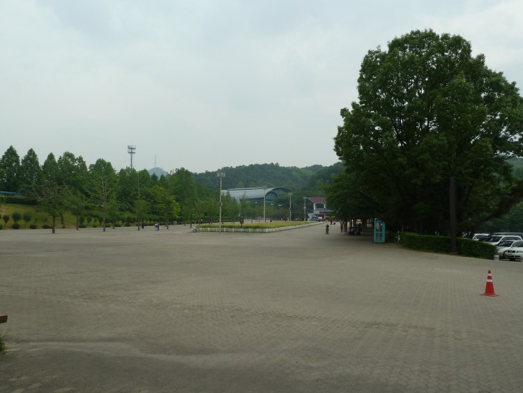 2011 год № 13 Южная Корея Сеул Seoul Zoo Сам ЗООпарк № 02 - 24 11.05.31 Seoul Zoo Зоопарк ЧАСТЬ 3 205.JPG