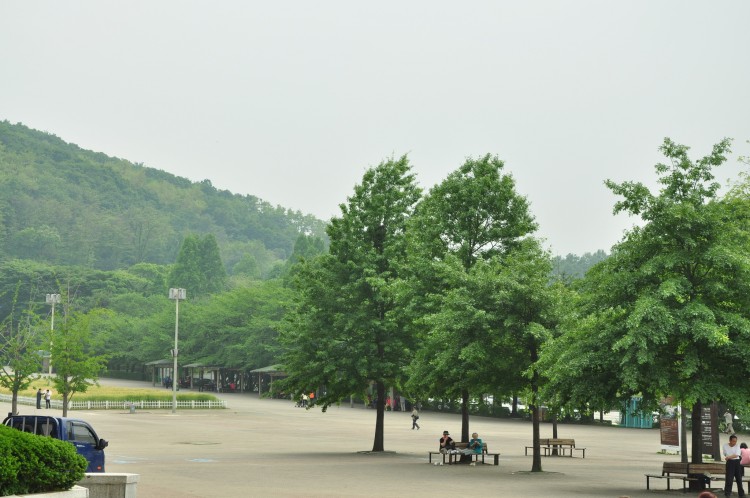 2011 год № 13 Южная Корея Сеул Seoul Zoo Сам ЗООпарк № 02 - 24 11.05.31 Seoul Zoo Зоопарк ЧАСТЬ 3 210.JPG