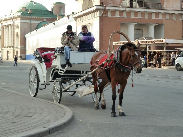 2011 год № 16 Санкт-Петербург Город на фотографиях днем - 27 2011.09.07-12 Дневной Питер все ДНИ ТАМ 132.JPG