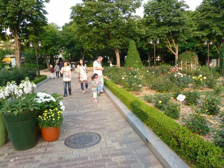 2011 год № 30 Южная Корея Сеул Everland Samsung Rose Garden - 56 11.06.03 Everland Парк Rose Garden 001.JPG