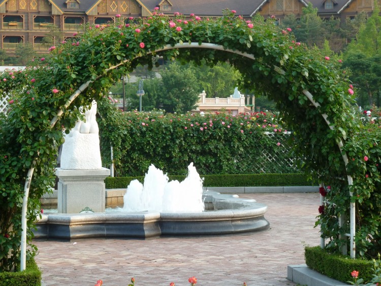 2011 год № 30 Южная Корея Сеул Everland Samsung Rose Garden - 56 11.06.03 Everland Парк Rose Garden 020.JPG