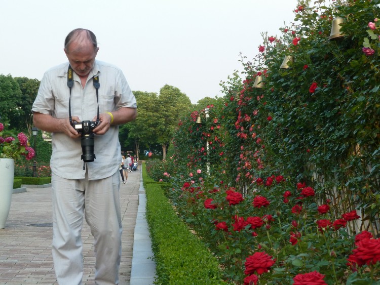 2011 год № 30 Южная Корея Сеул Everland Samsung Rose Garden - 56 11.06.03 Everland Парк Rose Garden 023.JPG