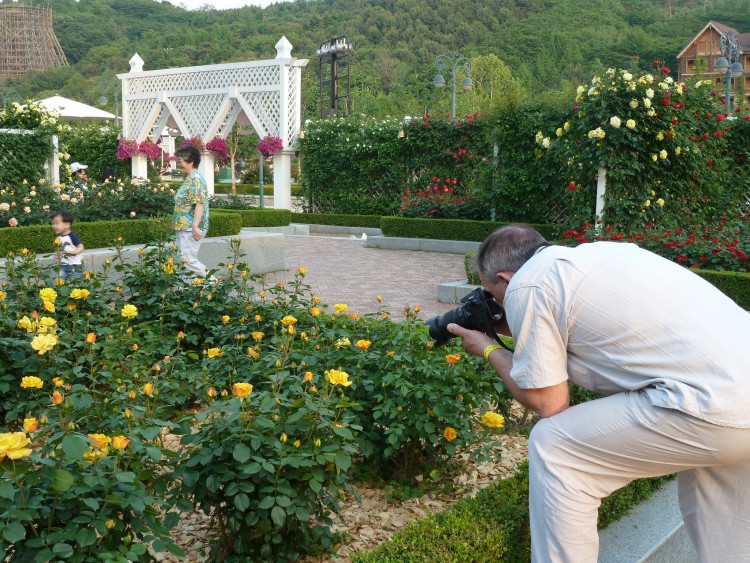 2011 год № 30 Южная Корея Сеул Everland Samsung Rose Garden - 56 11.06.03 Everland Парк Rose Garden 029.JPG