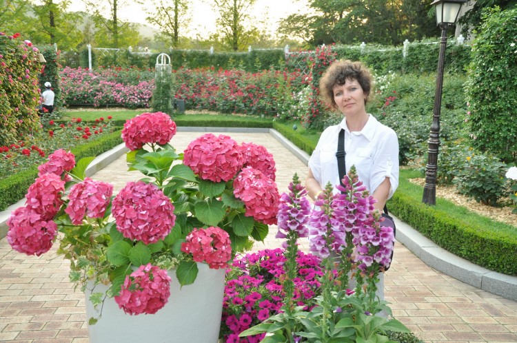 2011 год № 30 Южная Корея Сеул Everland Samsung Rose Garden - 56 11.06.03 Everland Парк Rose Garden 034.JPG