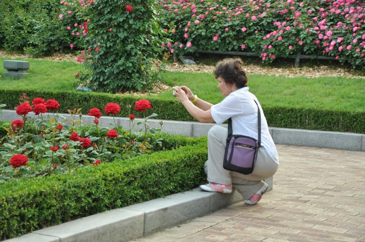 2011 год № 30 Южная Корея Сеул Everland Samsung Rose Garden - 56 11.06.03 Everland Парк Rose Garden 039.JPG