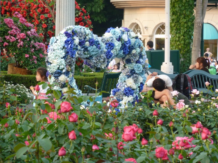 2011 год № 30 Южная Корея Сеул Everland Samsung Rose Garden - 56 11.06.03 Everland Парк Rose Garden 085.JPG