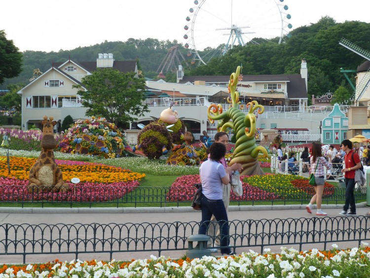 2011 год № 30 Южная Корея Сеул Everland Samsung Rose Garden - 56 11.06.03 Everland Парк Rose Garden 135.JPG