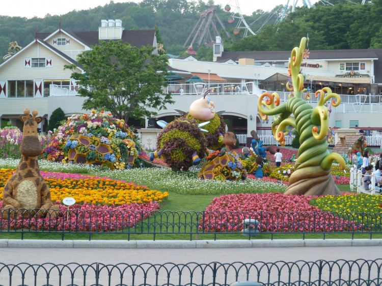 2011 год № 30 Южная Корея Сеул Everland Samsung Rose Garden - 56 11.06.03 Everland Парк Rose Garden 136.JPG