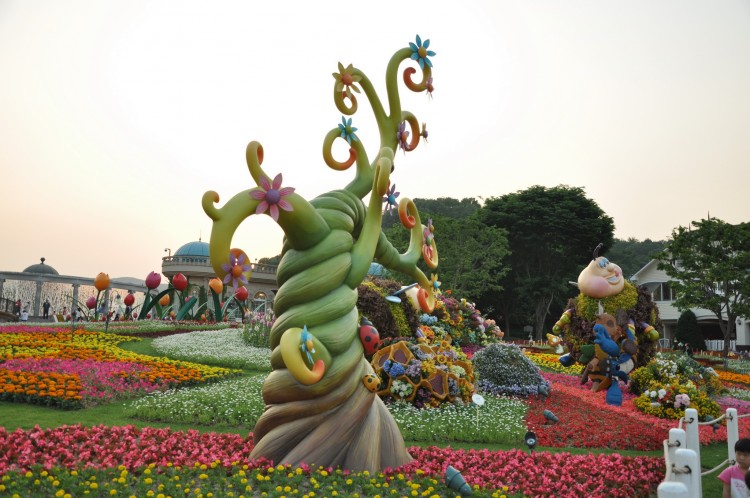 2011 год № 30 Южная Корея Сеул Everland Samsung Rose Garden - 56 11.06.03 Everland Парк Rose Garden 175.JPG